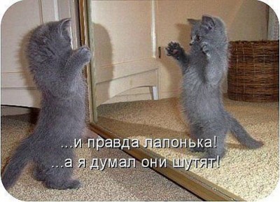лапонька.jpg