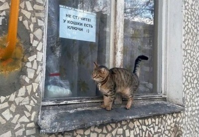 не стучите.jpg