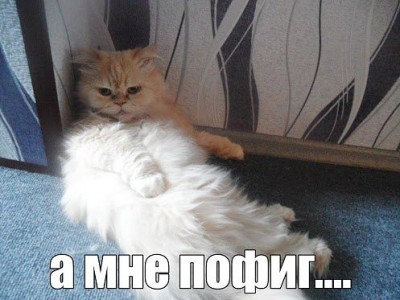 пофиг.jpg