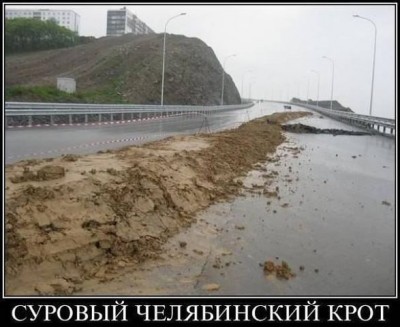 крот.jpg