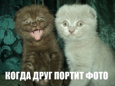 друзья.jpg