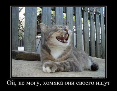 ой не могу.jpg
