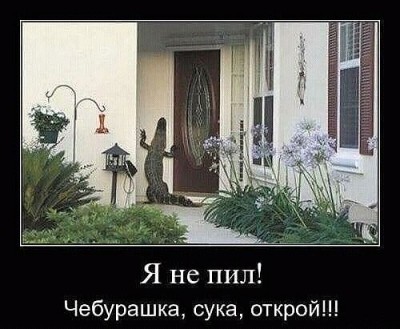 Гена.jpg