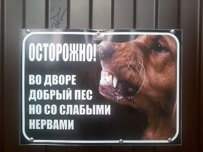 добрый пес.jpg