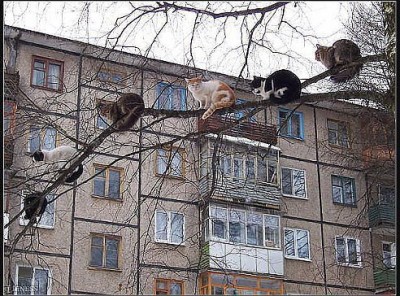 собрание 1.jpg