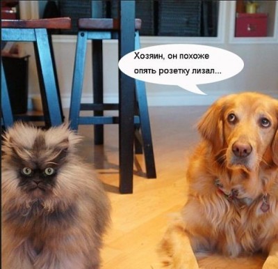 getImчage.jpeg