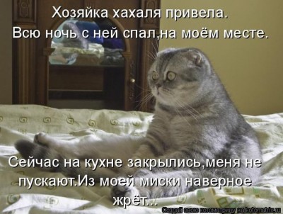 офигел.jpg