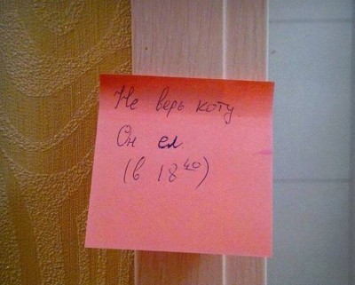 не верь коту.jpg