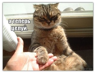 BRYzmoqbCBc[1].jpg