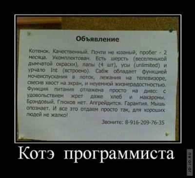 котэ.jpg