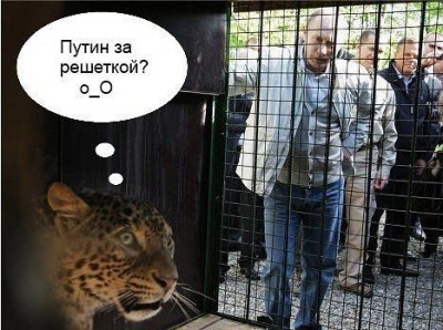 за решеткой.jpg