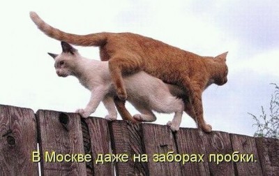 пробки.jpg