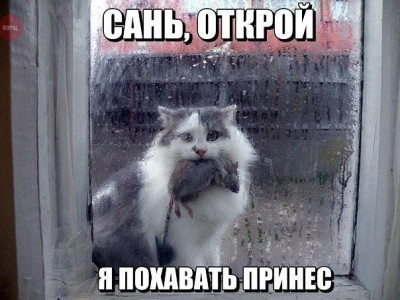 сань, открой.jpg