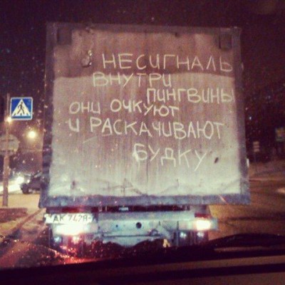пингвины.jpg