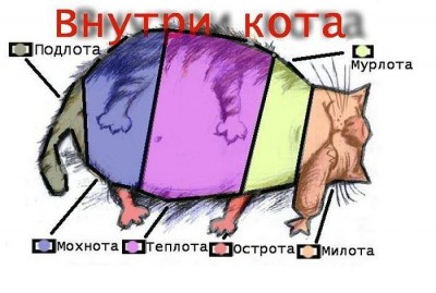 getI ge.jpeg
