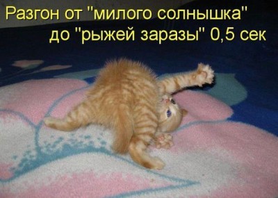 0,5 сек..jpg