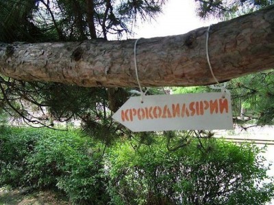 крокодилярий.jpg