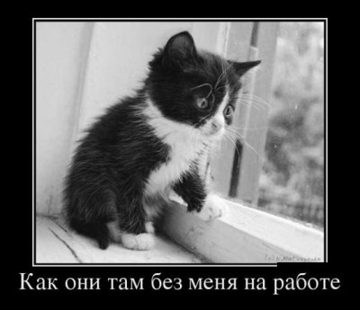 как они там.jpg