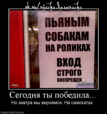 пьяным собакам.jpg