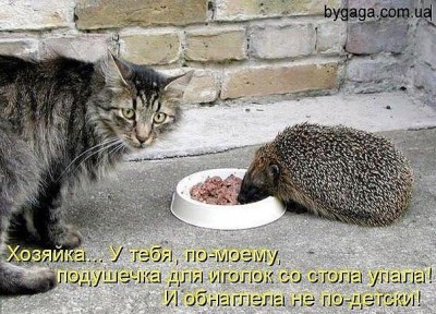 подушка для иголок.jpg