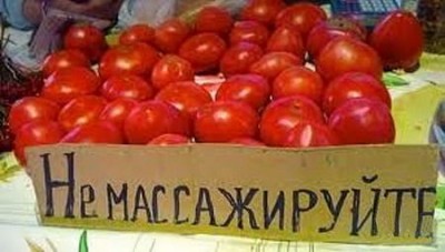 помидоры.jpg