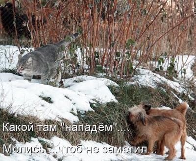 нападём.jpg