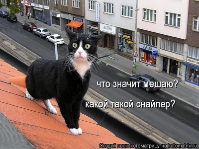 снайпер.jpg