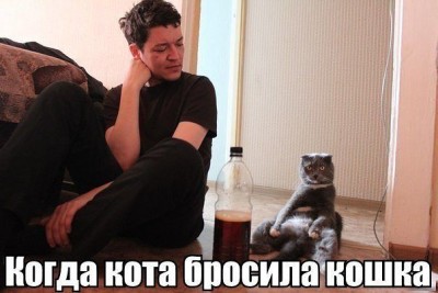 бросила.jpg