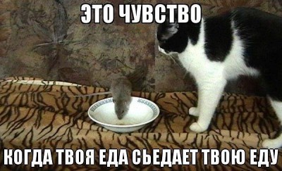 еда.jpg