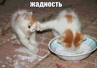 жадность.jpg