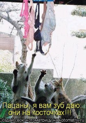 косточки.jpg