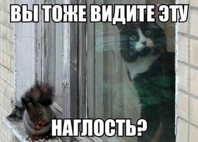 наглость.jpg