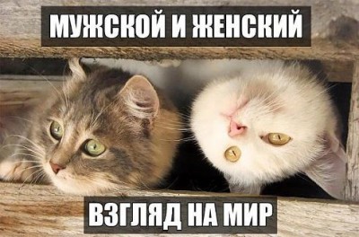 взгляд на мир.jpg