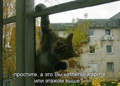 котлетки.jpg