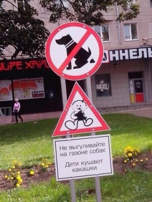 газон.jpg