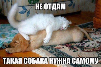 не отдам.jpg