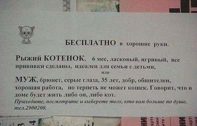 бесплатно.jpg