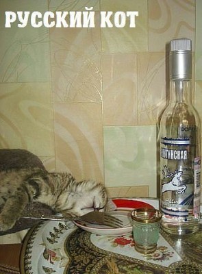 русский кот.jpg