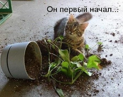 он первый начал.jpg