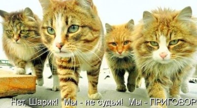 приговор.jpg