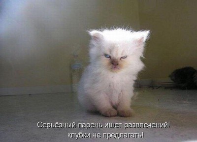 серьезный парень.jpg