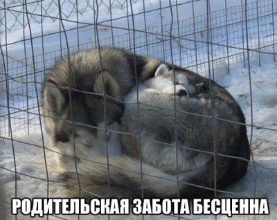 мама.jpg