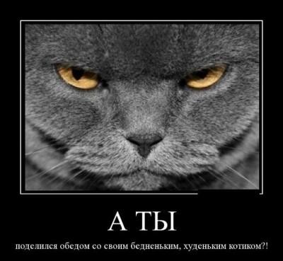 а ты.jpg