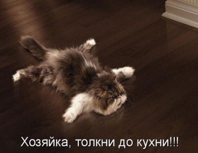толкни.jpg