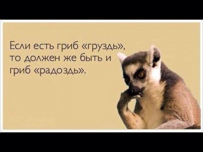 груздь.jpg