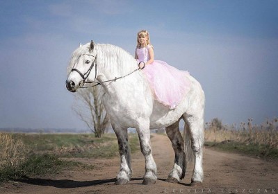 принцесса на коне.jpg