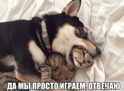 играем.jpg