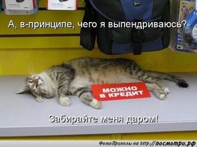 в кредит.jpg