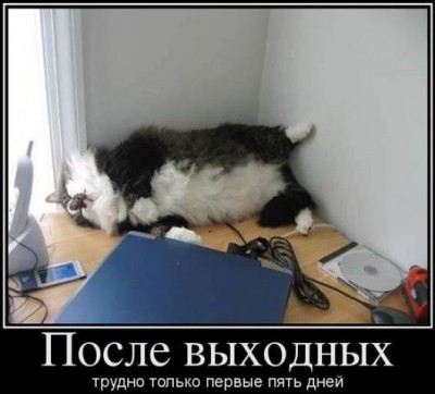после выходных.jpg