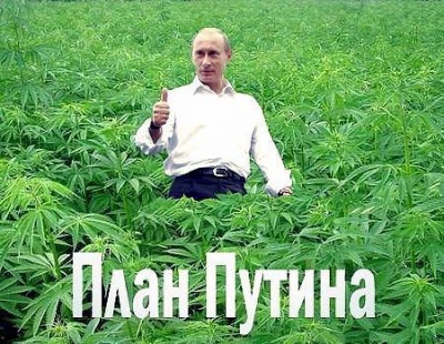 план путина.jpg